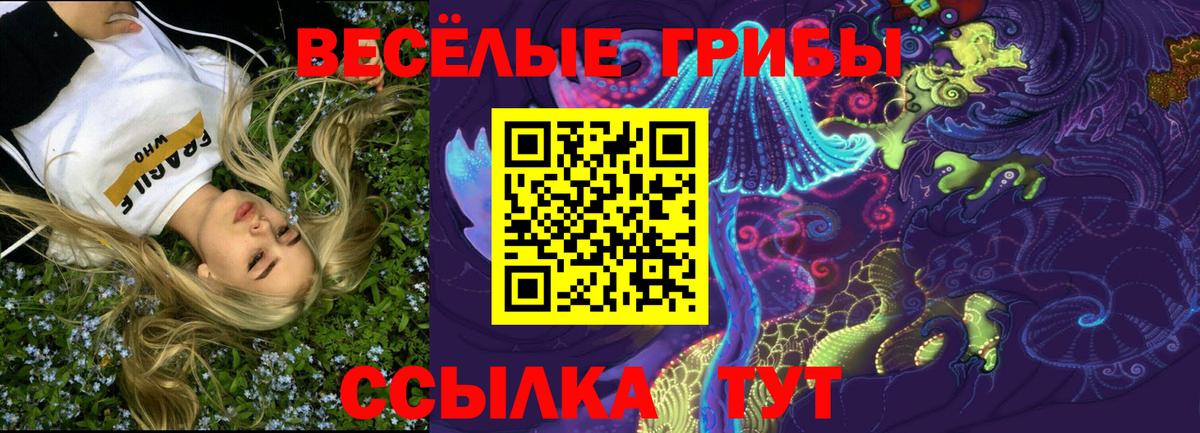 Апатиты  Псилоцибиновые грибы MAGIC MUSHROOMS  Вход с VPN 
